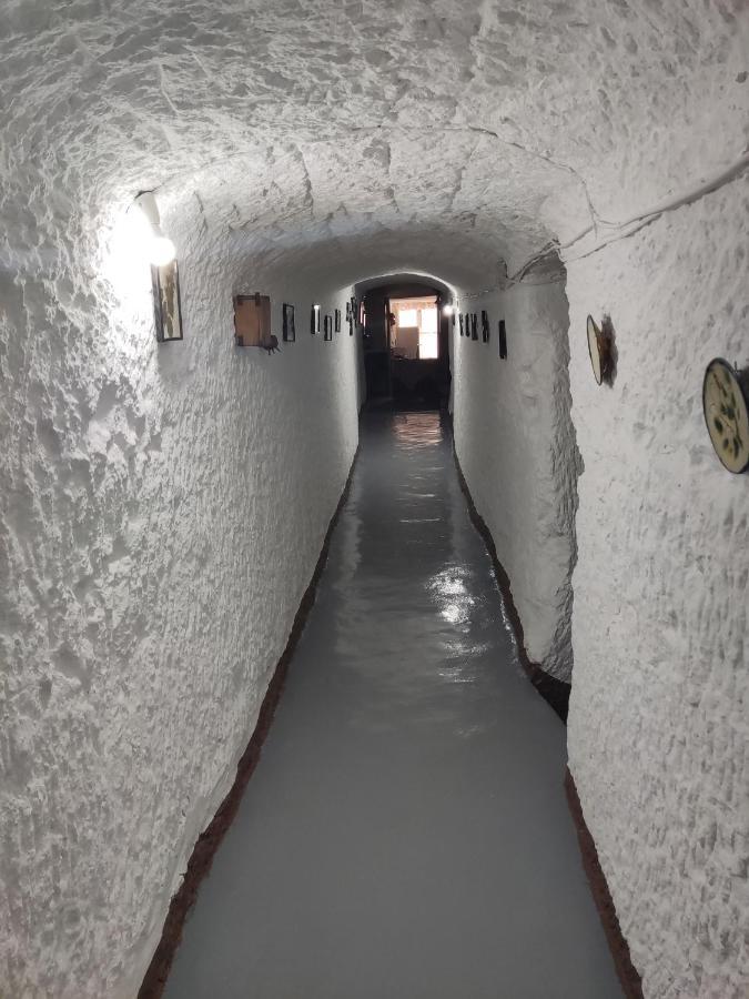 Cueva Navarro Gorafe エクステリア 写真
